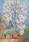 A Bonnard Blossom tree.